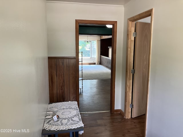 corridor with ornamental molding, dark wood-style floors, and wainscoting