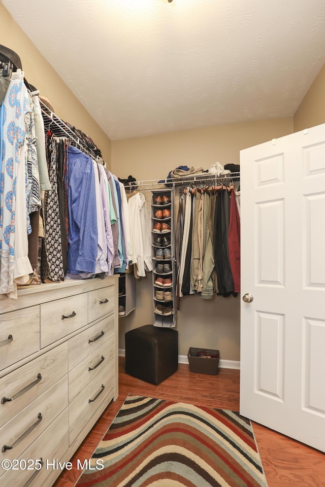 spacious closet featuring wood finished floors