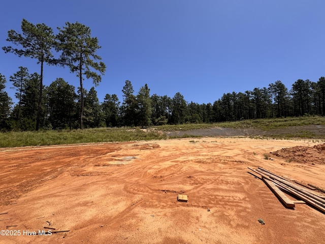 231 Rough Ridge Trl Unit 17, Aberdeen, NC 28315 - view of yard with a forest view
