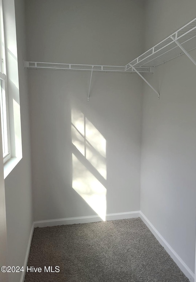 460 Maides Ave, Wilmington, NC 28405 - walk in closet featuring carpet floors