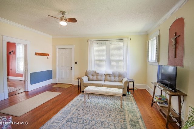 915 Saint David St, Tarboro, NC 27886 - living area featuring a textured ceiling, a wealth of natural light, and crown molding