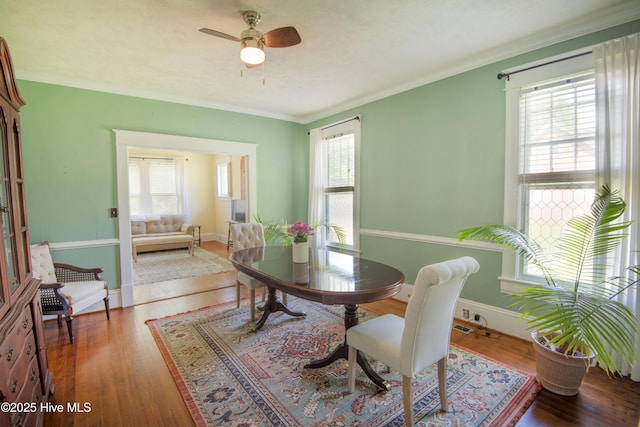 915 Saint David St, Tarboro, NC 27886 - dining room with crown molding, a wealth of natural light, light wood finished floors, and ceiling fan