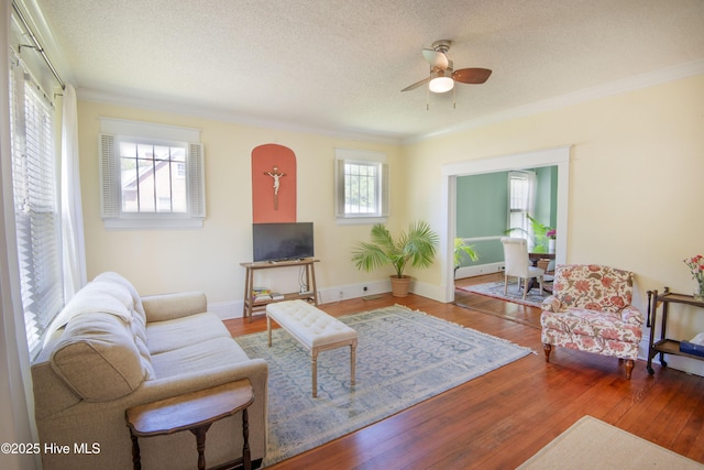 915 Saint David St, Tarboro, NC 27886 - living area with wood finished floors, crown molding, and ceiling fan