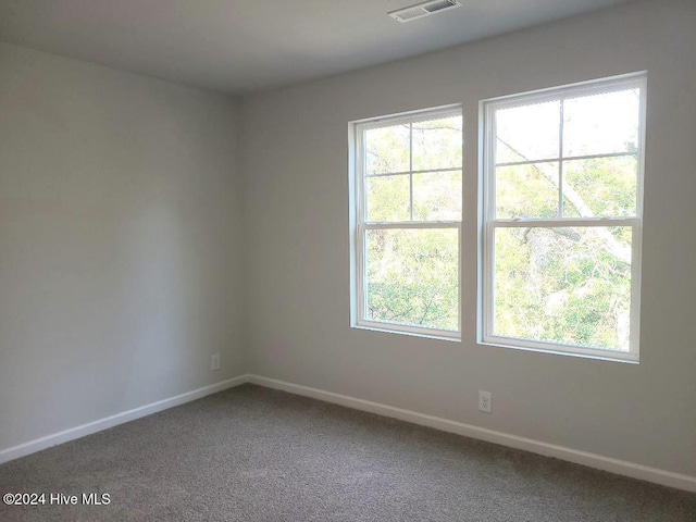 spare room with plenty of natural light, carpet, visible vents, and baseboards