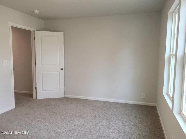 unfurnished room with baseboards, carpet, and a wealth of natural light