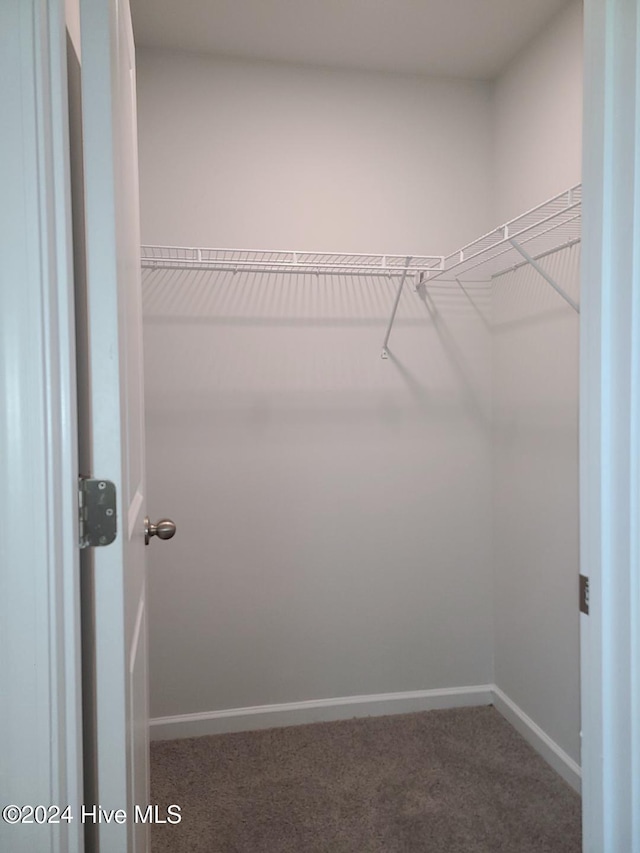 walk in closet with carpet