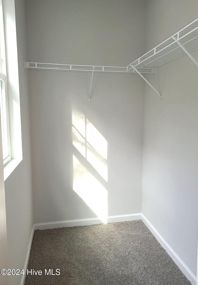 walk in closet with carpet