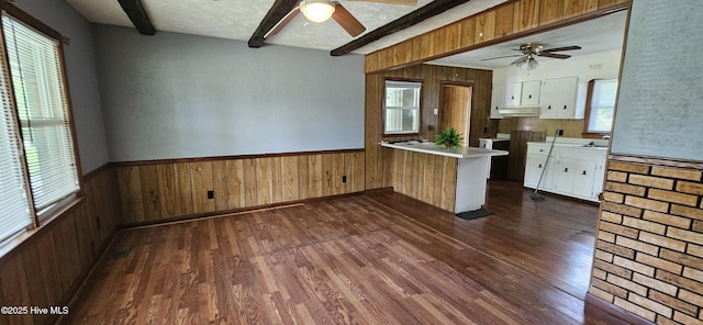 kitchen featuring wooden walls, ceiling fan, and a peninsula