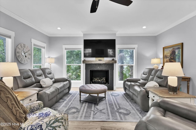 living room featuring a fireplace, wood finished floors, a ceiling fan, and plenty of natural light