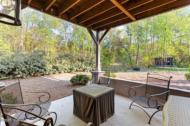 20 Barkley Ln, Pinehurst, NC 28374 - view of patio with a trampoline