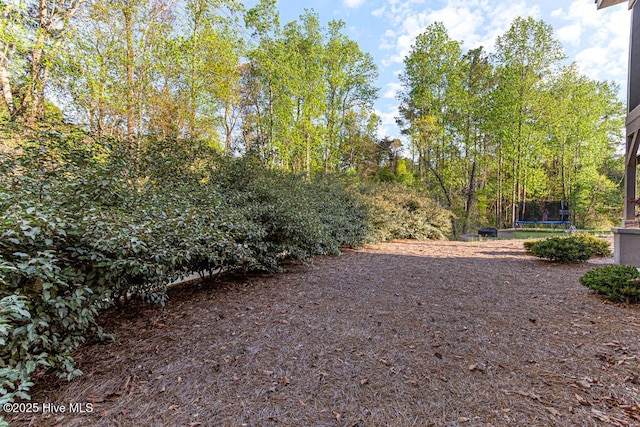20 Barkley Ln, Pinehurst, NC 28374 - view of yard with a trampoline