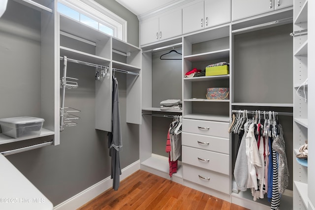 3675 W Medinah Ave, Southport, NC 28461 - walk in closet with light wood finished floors