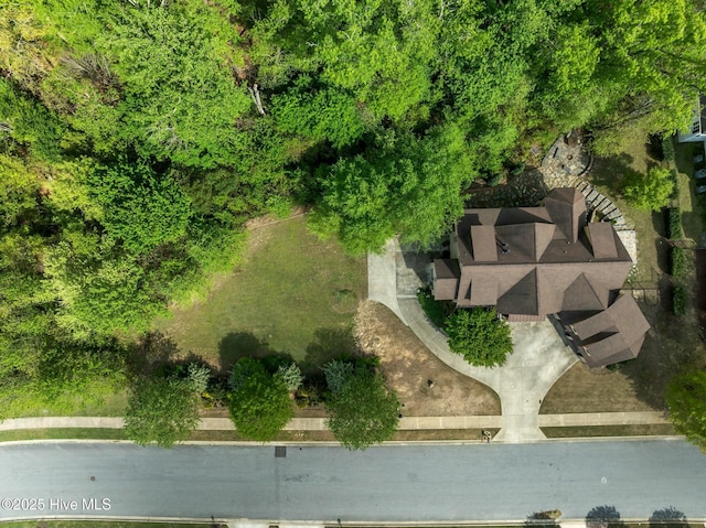 drone / aerial view