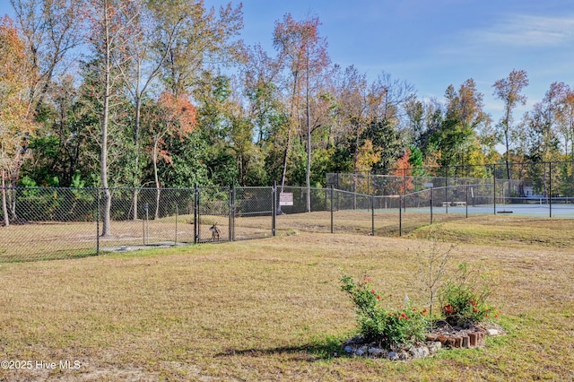 3722 White Cliffs Dr, Castle Hayne, NC 28429 - view of yard