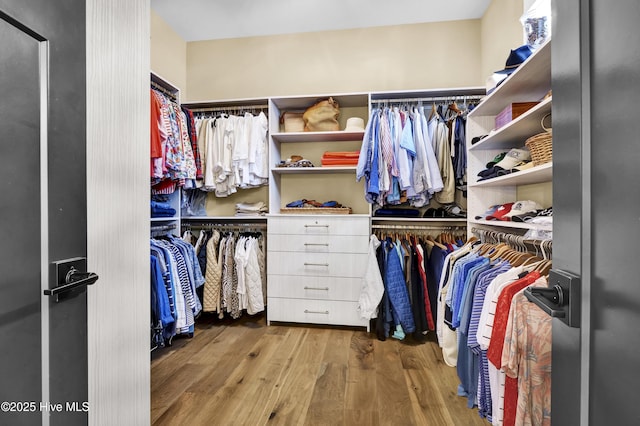 3722 White Cliffs Dr, Castle Hayne, NC 28429 - spacious closet with wood finished floors