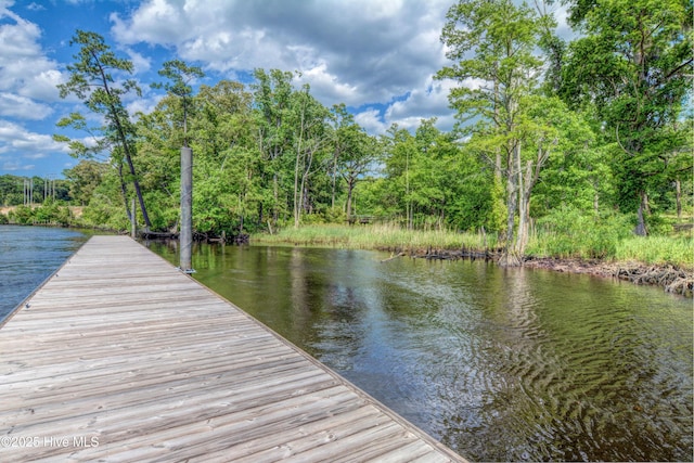 3722 White Cliffs Dr, Castle Hayne, NC 28429 - dock with a water view