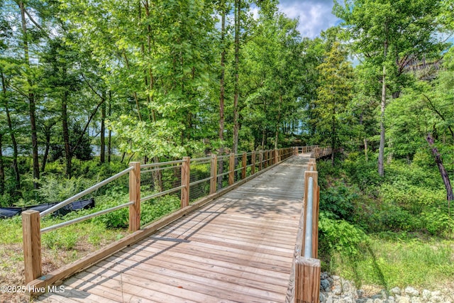 3722 White Cliffs Dr, Castle Hayne, NC 28429 - view of home's community