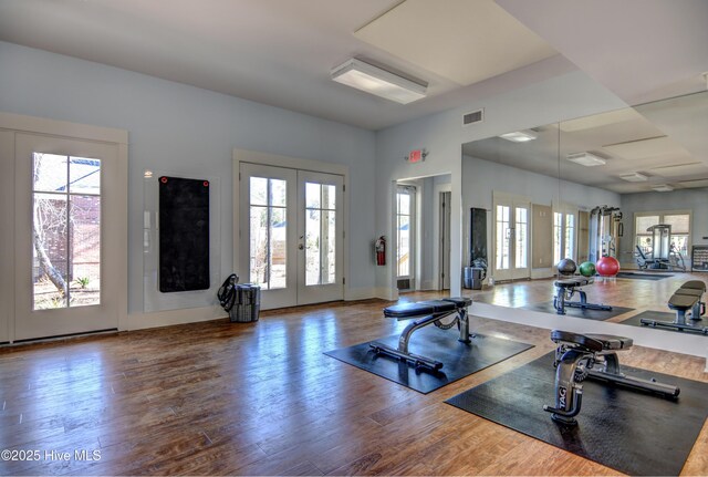 3722 White Cliffs Dr, Castle Hayne, NC 28429 - gym featuring french doors, healthy amount of natural light, and wood finished floors