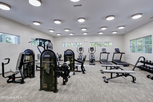 3722 White Cliffs Dr, Castle Hayne, NC 28429 - exercise room featuring carpet, healthy amount of natural light, and baseboards