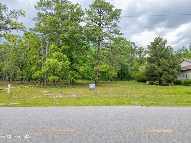 2302 Caracara Dr Unit 304, New Bern, NC 28560