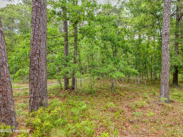 2302 Caracara Dr Unit 304, New Bern, NC 28560