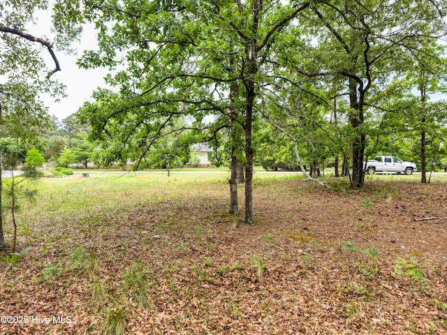 2302 Caracara Dr Unit 304, New Bern, NC 28560