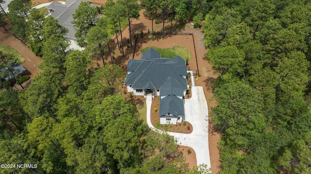 drone / aerial view