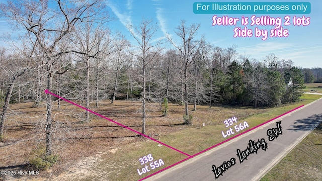 334 Levies Lndg SW Unit 56A, Supply, NC 28462