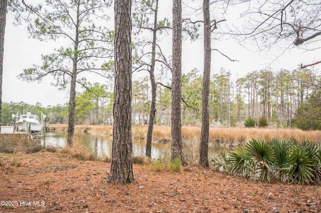 42 Brite Ln, Oriental, NC 28571 - view of water feature
