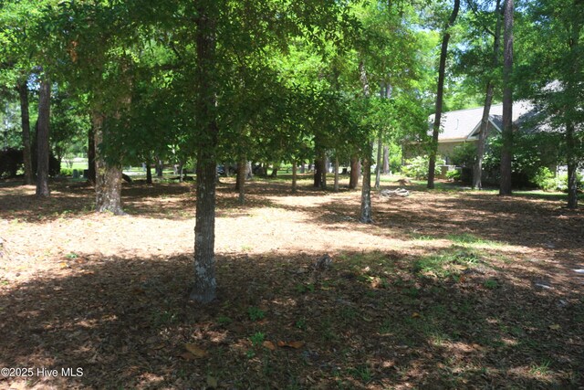3155 Fairway 3 Ct SW Unit 62, Supply, NC 28462