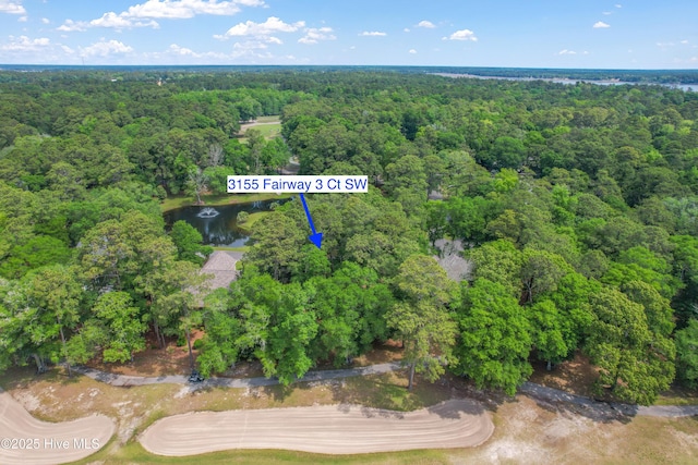 3155 Fairway 3 Ct SW Unit 62, Supply, NC 28462