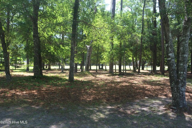 3155 Fairway 3 Ct SW Unit 62, Supply, NC 28462
