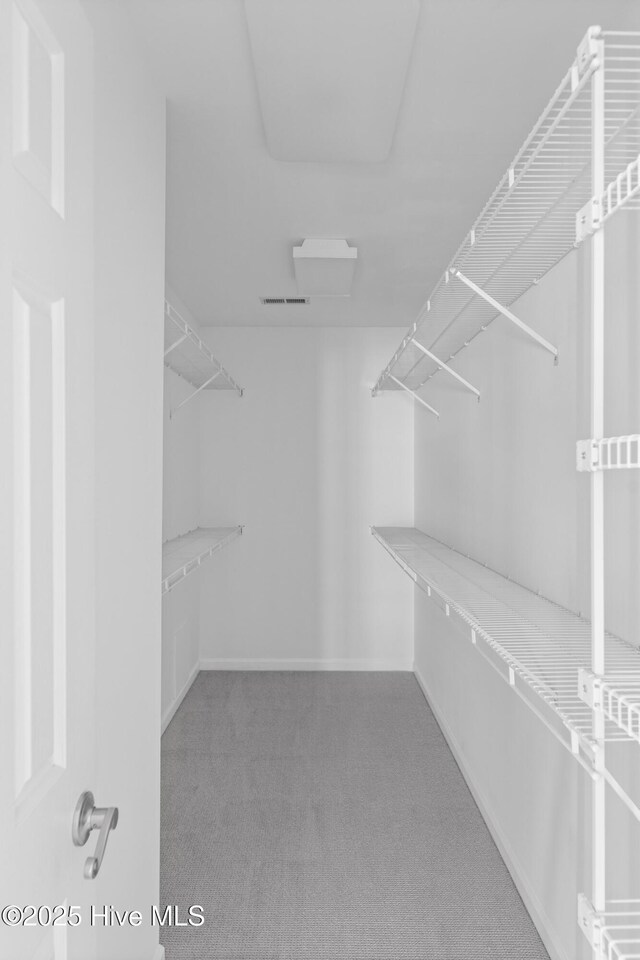 walk in closet featuring carpet flooring and visible vents