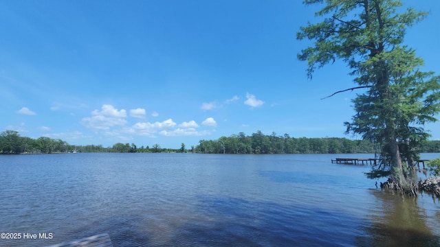 101 Pointe Vista Dr Unit 90, Elizabeth City, NC 27909