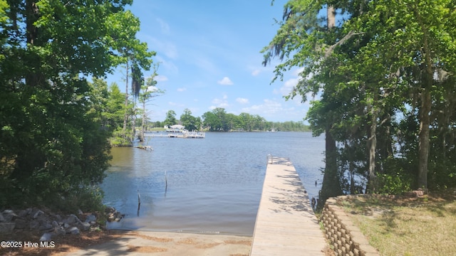 101 Pointe Vista Dr Unit 90, Elizabeth City, NC 27909