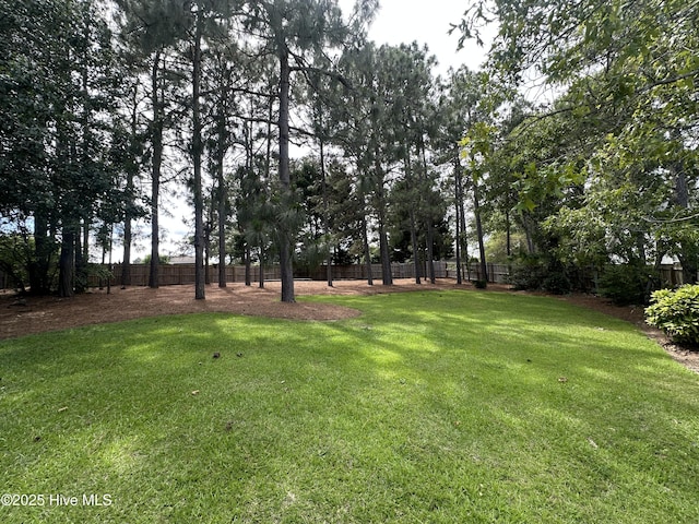 155 Patricia Ct, Whispering Pines, NC 28327 - view of yard