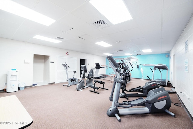 exercise room with a paneled ceiling, carpet, and visible vents