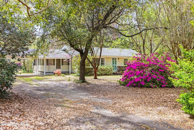view of front of home with dirt driveway and a sunroom