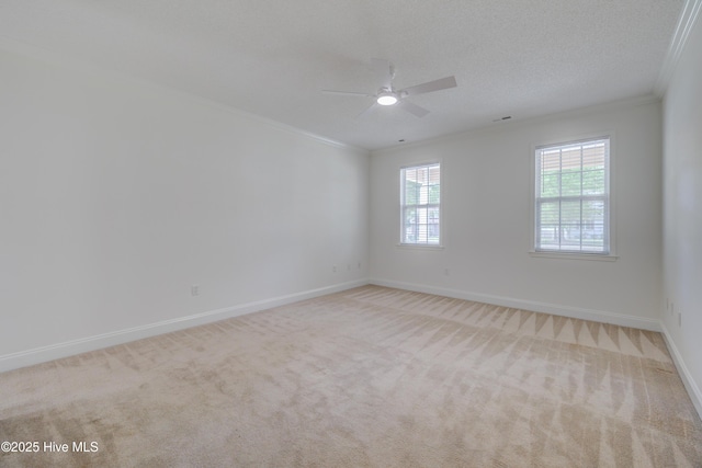 1708 N County Dr, Castle Hayne, NC 28429 - empty room with crown molding, plenty of natural light, a ceiling fan, carpet, and baseboards