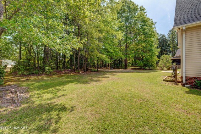 1708 N County Dr, Castle Hayne, NC 28429 - view of green lawn