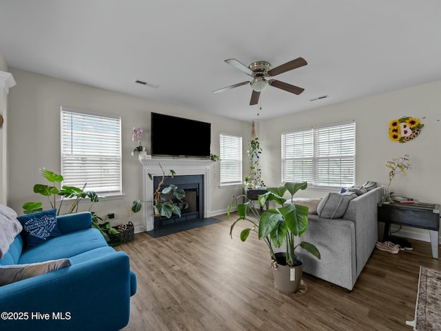 living area with visible vents, a fireplace with flush hearth, ceiling fan, and wood finished floors