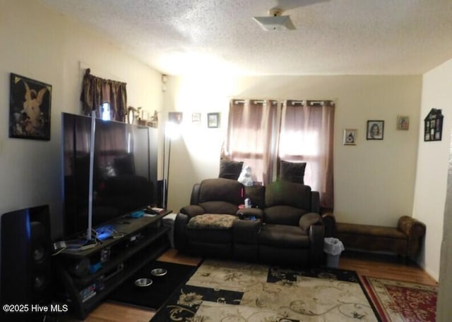 living room with wood finished floors and a textured ceiling