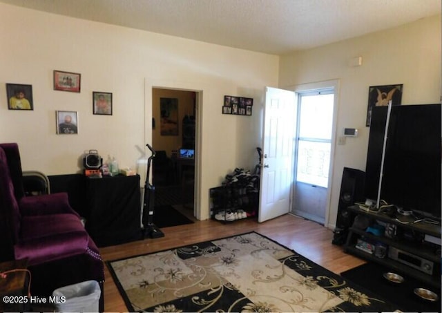 living area featuring wood finished floors