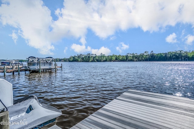 122 Back Creek Dr, Hertford, NC 27944 - view of dock with a water view and boat lift