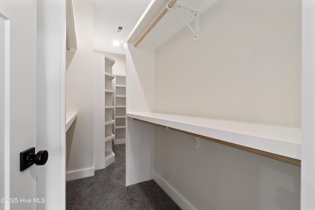 walk in closet with visible vents and carpet floors