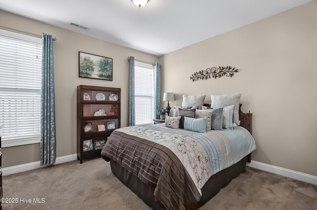 6509 Fawn Settle Dr, Wilmington, NC 28409 - carpeted bedroom with baseboards