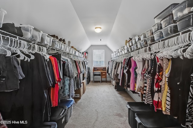 6509 Fawn Settle Dr, Wilmington, NC 28409 - spacious closet with lofted ceiling and carpet floors