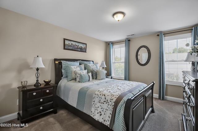6509 Fawn Settle Dr, Wilmington, NC 28409 - bedroom featuring carpet and multiple windows