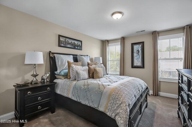 6509 Fawn Settle Dr, Wilmington, NC 28409 - bedroom with carpet and multiple windows
