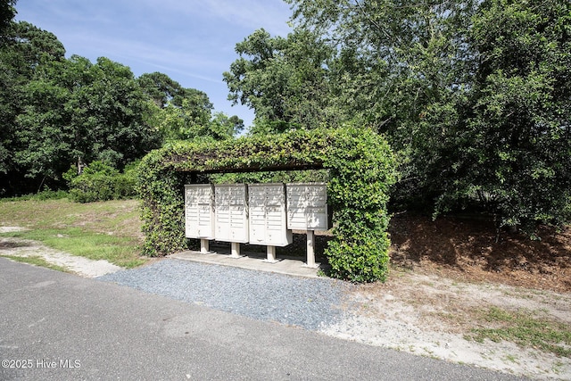 6509 Fawn Settle Dr, Wilmington, NC 28409 - surrounding community with mail area